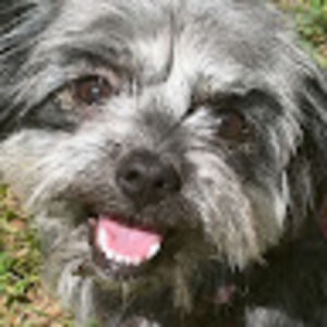 Meet your Posher, Joycelyn